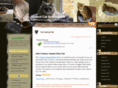 heatedcatbedreview.com