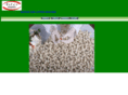 islermanti.com