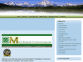 msfsinc.com