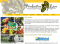 productionlane.com