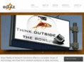 boazmns.com