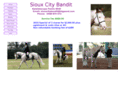 siouxcitybandit.com