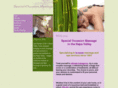 specialoccasionmassage.com