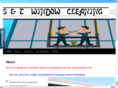 stwindowcleaning.com