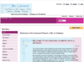 thecarouselflowers.com