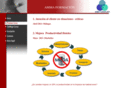 ammaconsulting.com