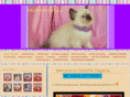 australianragdolls.com