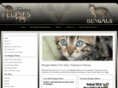 bengalkittens4sale.com