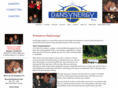 dansynergy.com