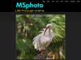 ms-photo.co.uk
