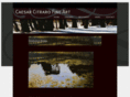 citraroart.com