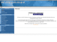 it-sub.net