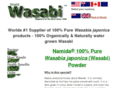 wasabi.co.nz
