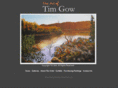 timgow-art.com