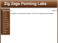 zigzagpointinglabs.com