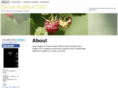 danceauditiondvd.com
