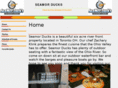 seamorducks.com