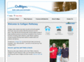 culliganrothesay.com