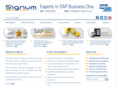 signum-solutions.co.uk