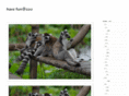 zoograph.com