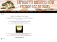 explodemybusinessnow.com