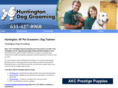 huntingtondoggrooming.com