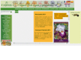 iris-cayeux.com