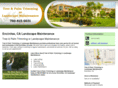 treeandpalmtrimming.com