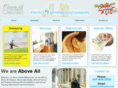 aboveallcleaners.com