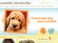 labradoodlepuppies.com