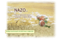 nazo-support.org