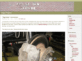 frogtowngarage.com