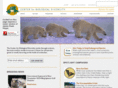 savecondor.org