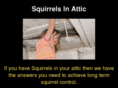 squirrelsinattic.com