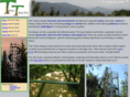 treetower.com