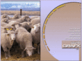 webgrafx.us