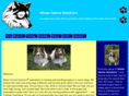 allstarcaninesolutions.com
