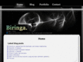 biringa.com