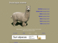 huacaya.biz