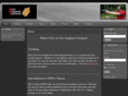 newenglandtactical.com