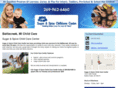 sugarandspicechildcarebc.com