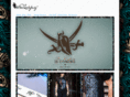 wickedladybug.com