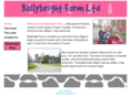 ballybright.com