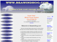 beawindhog.com