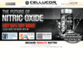 betterworkoutsupplement.com