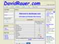 davidrauer.com