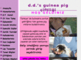 ddsguineapig.com