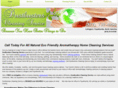 dustbusterscleaningnc.com