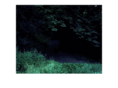julienoppenheim.com
