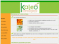 kaleo-audit.com